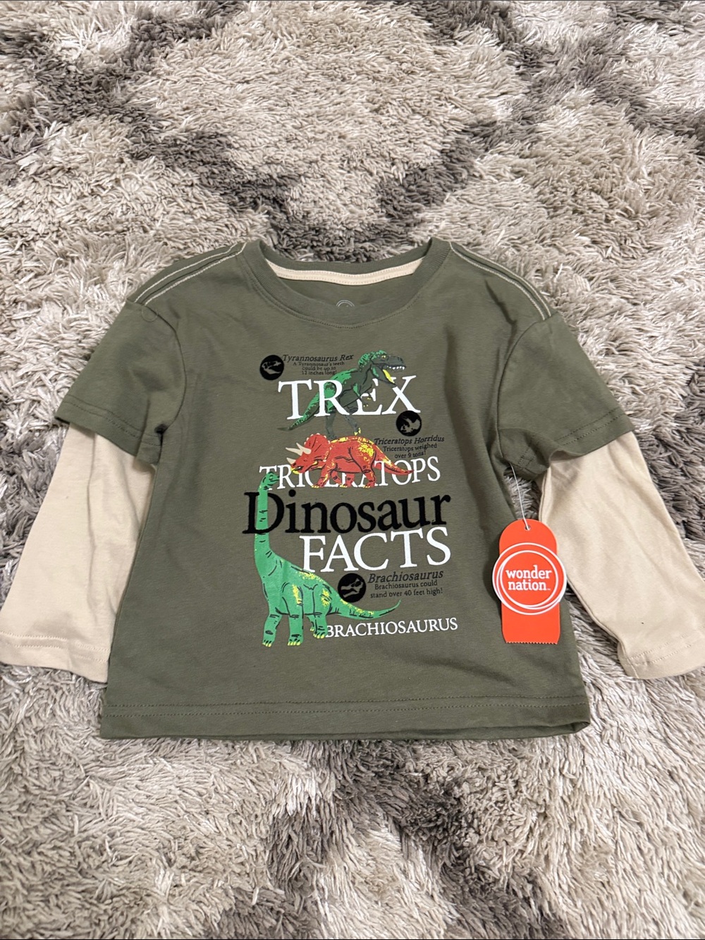 wonder nation Green & Cream 'Dinosaur Facts' Layered-Look Tee